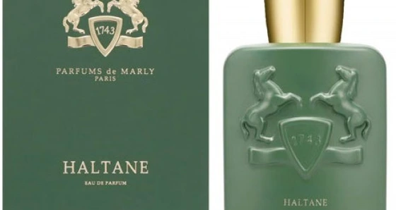 عطر ادوپرفیوم مردانه پرفیوم دو مارلی مدل هالتان حجم ۱۰۰ میلی لیتر